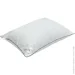 Arcloud    SWISS 50x70  