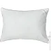 Arcloud    SWISS 50x70  