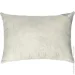 Arcloud  Vanilla Dream 50x70  