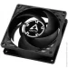  Arctic P8 Silent black (ACFAN00152)
