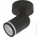 Ardero    G5.3  ML316 b