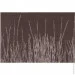   Ardesto 30*45 , Brown (AR3309BR)