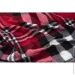 Плед Ardesto Fleece 130x160 клетка красно-черный (ART0704PB) Плед Ardesto Fleece 130x160 клетка красно-черный (ART0704PB)