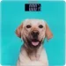    Ardesto SCB-965DOG