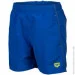  Arena Beach Boxer Solid R 10, neon blue-soft green (006447-861)