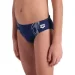   Arena REFLECTING SWIM BRIEFS (007340-701-128 )