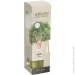 Areon     150 