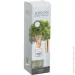 Areon     150 