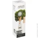 Areon      85  ( )
