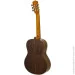   Aria A-30S N