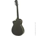   Aria AFN-15CE BK