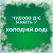    Ariel  г.  .  3.87 (8700216691444)
