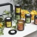 Aroma Home   Modern Fruits  230 