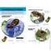 Artbooks  Minecraft     978-617-7688-73-9