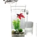 As Seen on TV    My Fun Fish,  ,  LED  (1756375765)