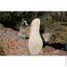   Asolo Falcon LTH GV   (Grey/Light Black, 46 1/3) (ASL A40044.B036-11.5)