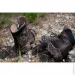   Asolo TPS 520 GV MM   (Chestnut, 42 1/2) (ASL A11012.A635-8.5)