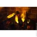  Astra Flame  + 