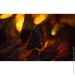  Astra Flame  + 