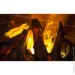  Astra Flame  + 