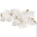  Atcom RJ45 Cat.6, 100. (14373)