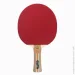 Atemi     5000  Balsa-Carbon (4740152100604)