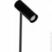  Atmolight Teddy Black 