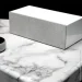   Audioengine B2 WirelessSpeakerWhite
