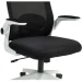   Aula F526 Gaming Chair Black (6948391286235)