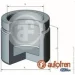 Autofren Seinsa D0-25487 (D025487)