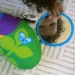 Baby Einstein  '  Cal-a-Pillow (16756)