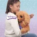   Baby Paws      25  (921153IM)