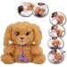   Baby Paws      25  (921153IM)