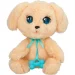   Baby Paws    W2  25  (921146IM)