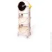 Babyhood      (2 ),BP-101B (BP-101B)