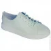    Baden .36  (035287-36)