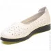    Baden .36  (089048-36)