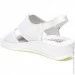    Baden .40  (069756-40)