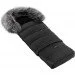    Bair Arctic,  (623436)
