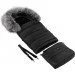    Bair Arctic,  (623436)