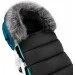    Bair Arctic,  (623436)