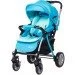  Bair Fox Blue