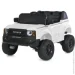  Bambi    2155EBLR-1(24V)  30 