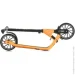 Bambi   2-  SR2-091-OR 