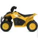 Bambi    H6-6  23 