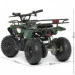 Bambi    HB-ATV800AS-10 