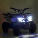Bambi    HB-ATV800AS-10 