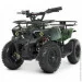 Bambi    HB-ATV800AS-10 