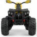  Bambi   M 4795EBLR-6  30 