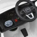  Bambi    M 5796EBLR-1  25 